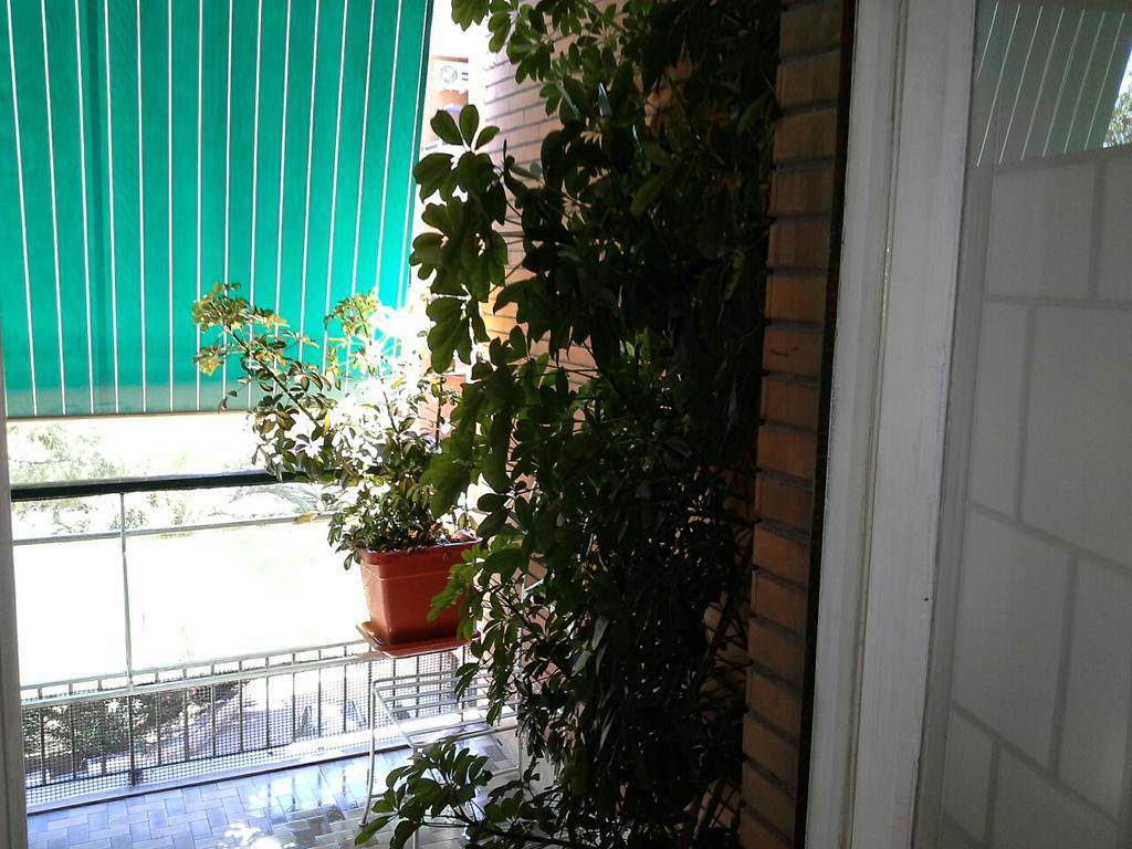Olimpica Relais Guest House Roma Exterior foto