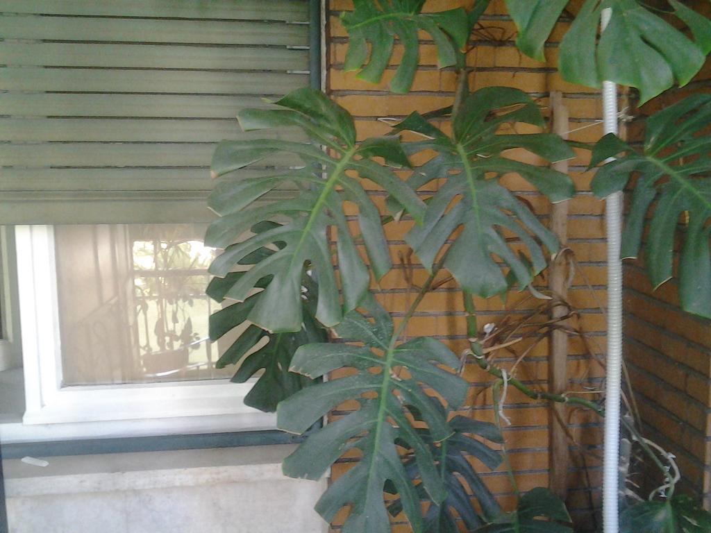 Olimpica Relais Guest House Roma Exterior foto
